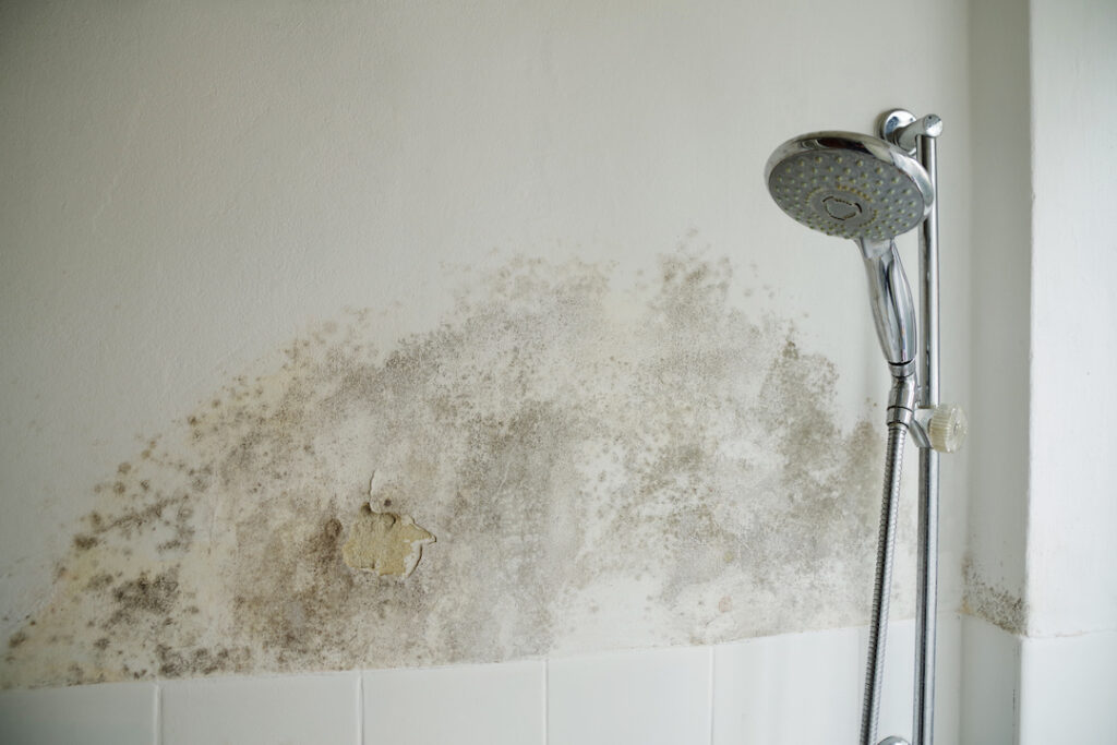 Water Damage Mckinney Tx